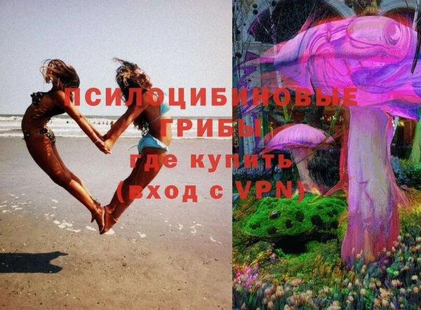 эйфоретик Богданович