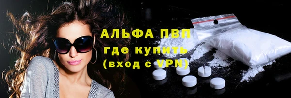 эйфоретик Богданович