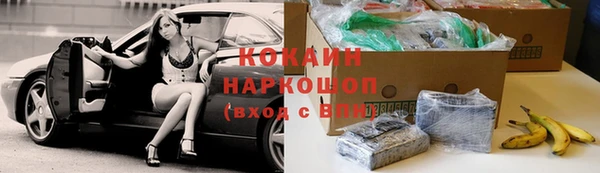 эйфоретик Богданович