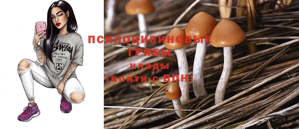 эйфоретик Богданович