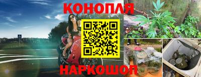 спайс Аргун