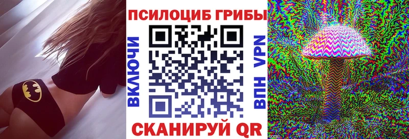 Псилоцибиновые грибы Cubensis  блэк спрут маркетплейс  Бугульма  купить закладку 